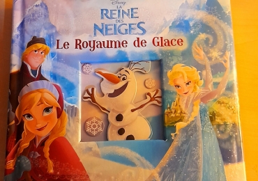 Disney La Reine Des Neiges – Le Royaume De Glace